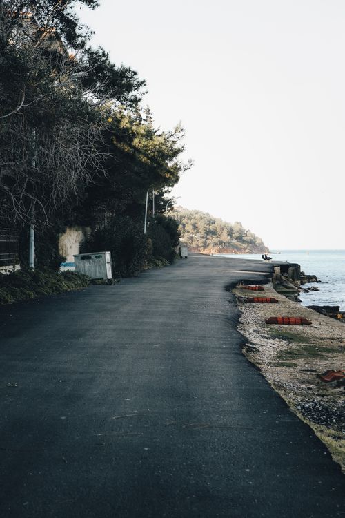 Free A tranquil road beside the sea, lined with trees and offering a serene escape. Stock Photo