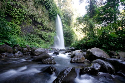 Бесплатное стоковое фото с вода, водопад, деревья