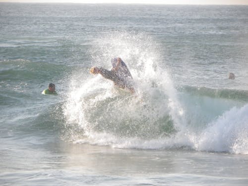 Free stock photo of community, surf, surfer hitting a wave