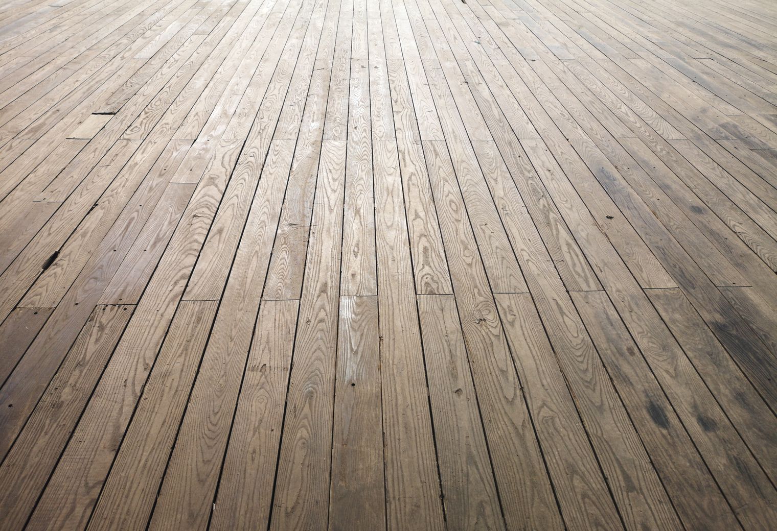 Fence and Decking Painting in Belsize Park — a freshly painted, spotless finish