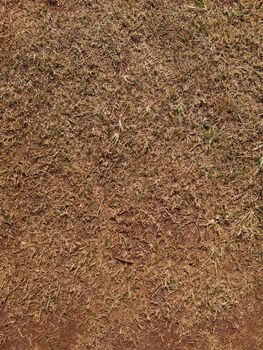 High-resolution texture of dry grass and soil, ideal for backgrounds.