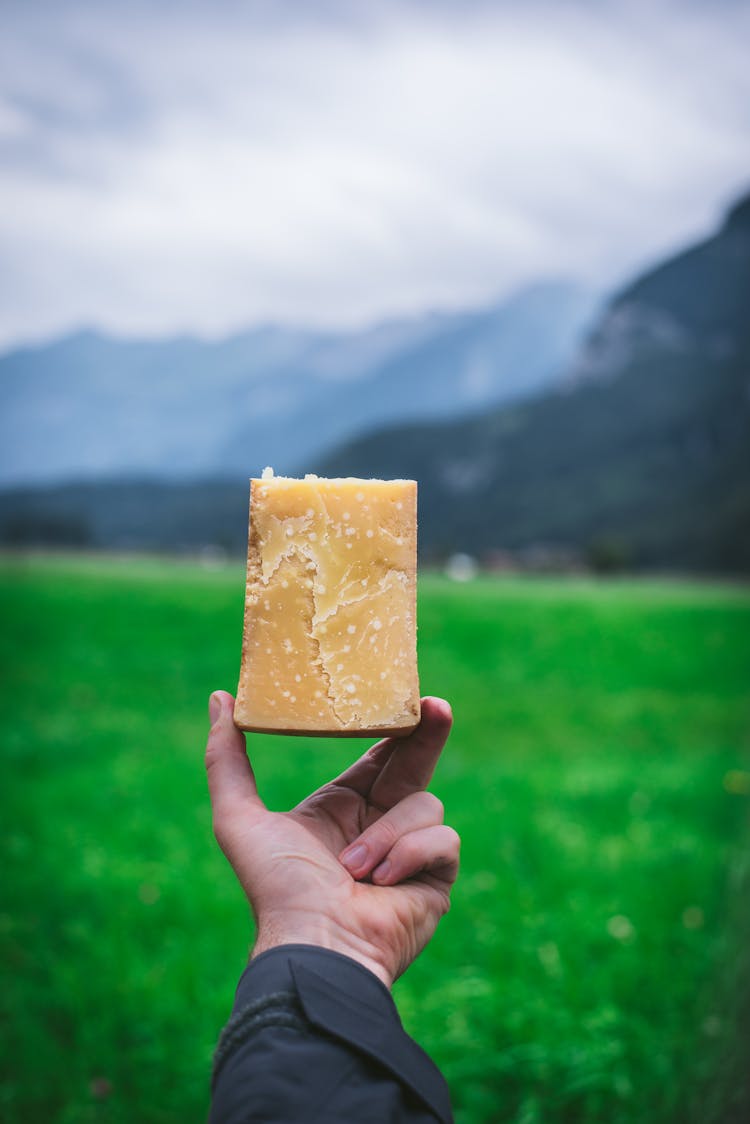 Person Holding A Block Of Swiss Cheese 