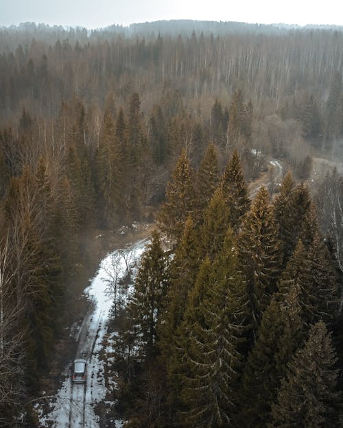 Aerial Photography of Car Driving in the Forest Road