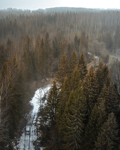 Gratis lagerfoto af bil, droneoptagelse, fugleperspektiv