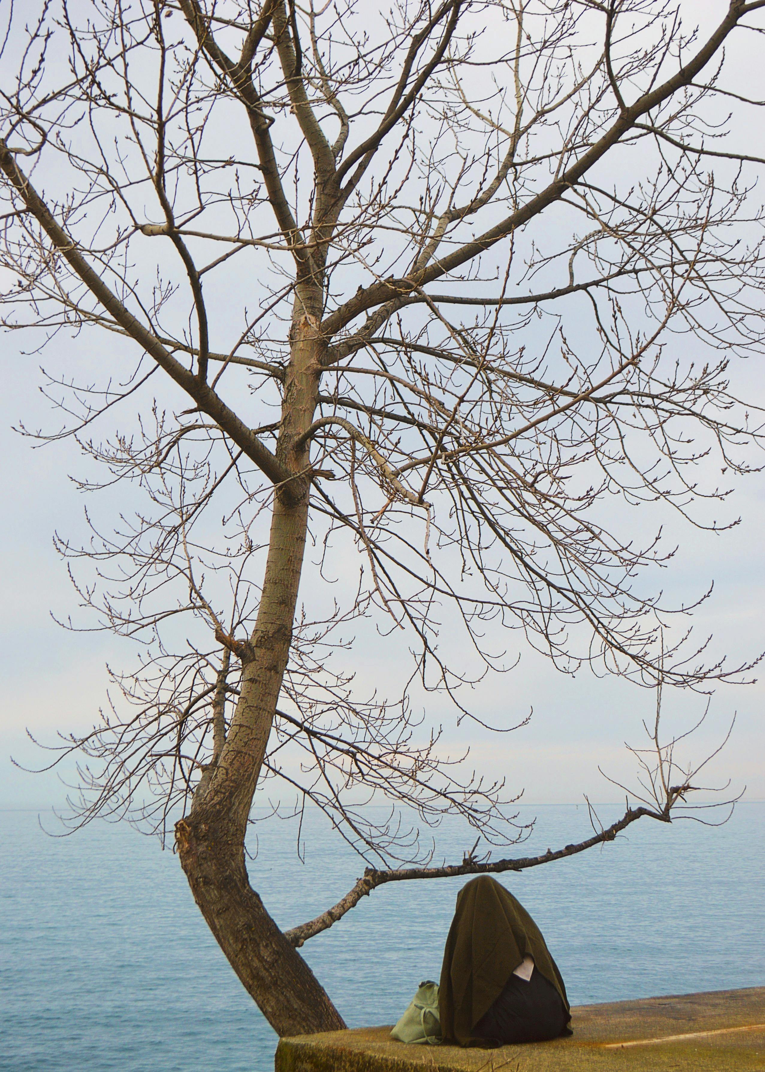 Rize Costa Photos, Download The BEST Free Rize Costa Stock Photos & HD ...