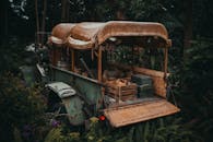 这张照片以宏大的视角拍摄了一辆旧卡车，它掩映在郁郁葱葱的树叶中，唤起了历史感与大自然的复苏之感