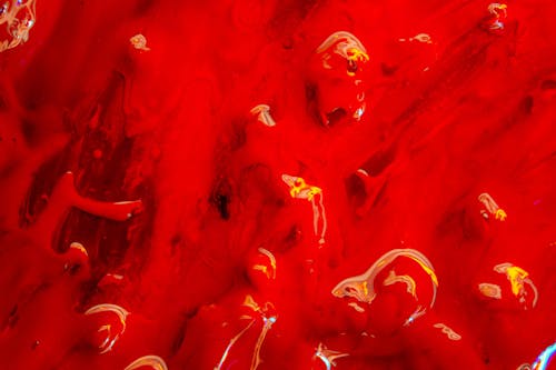 Close-Up Shot of Red Abstract Acrylic Paint