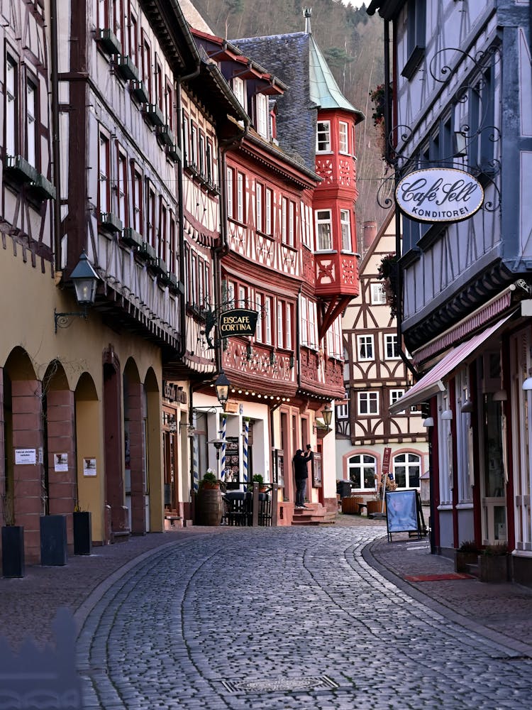 Half Timbered Houses By Cobblestone Street