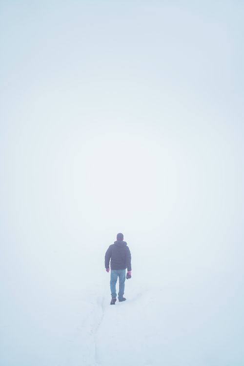 Free A lone person walking away in a bright snowy landscape, captured from behind. Stock Photo