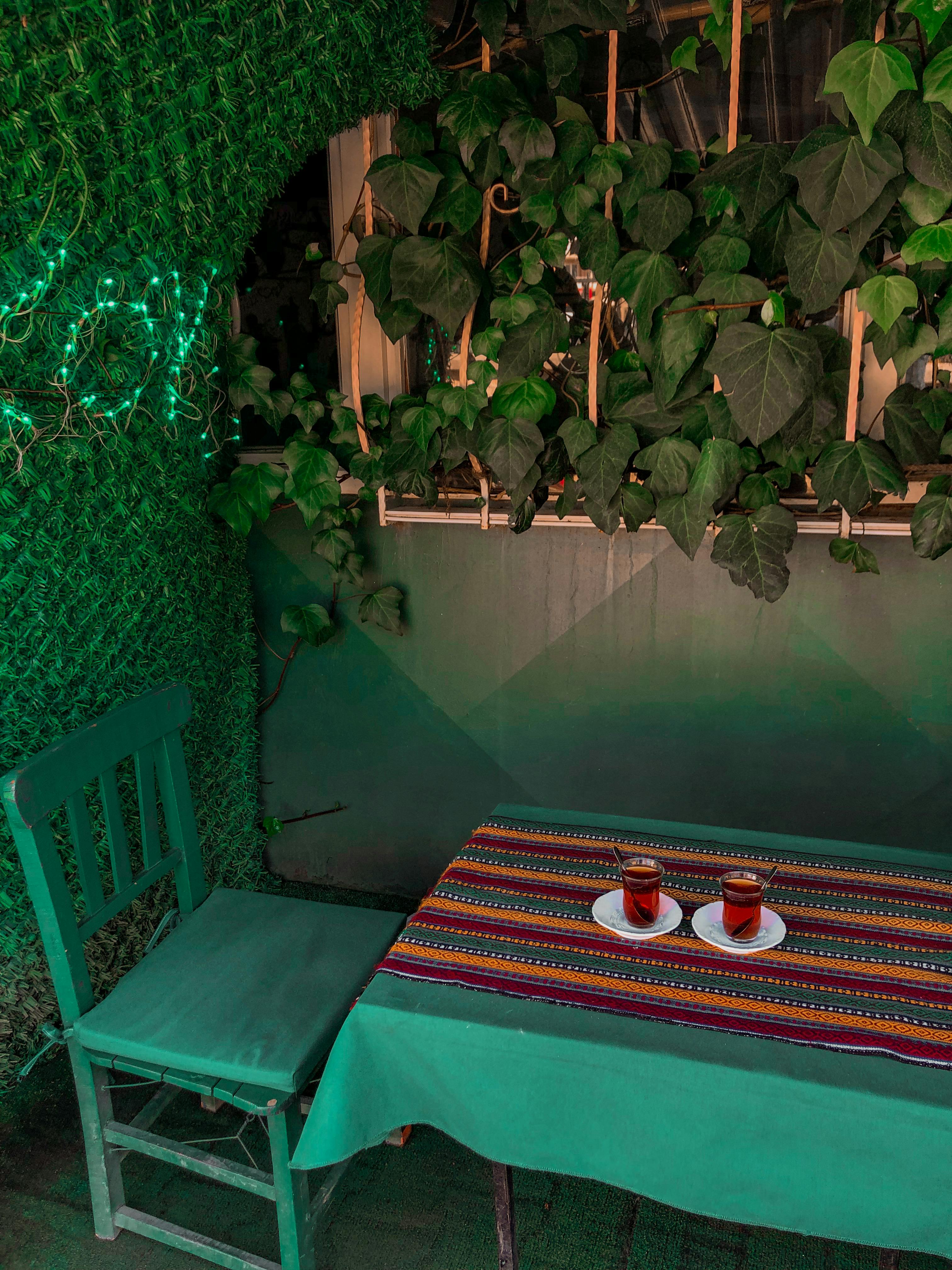 Free Charming outdoor scene featuring a table with tea surrounded by lush greenery. Stock Photo