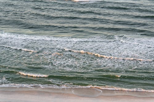 Free Ocean Waves on the Shore Stock Photo
