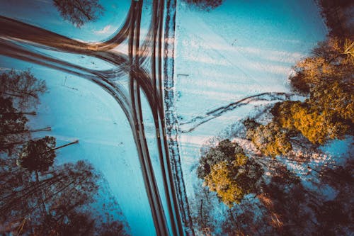 Drone Shot of Roads Near Trees