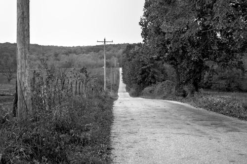 Free stock photo of black and white, dirt road, fence