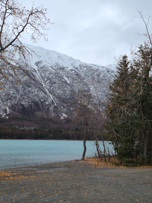 Kostnadsfri bild av berg, falla, flod