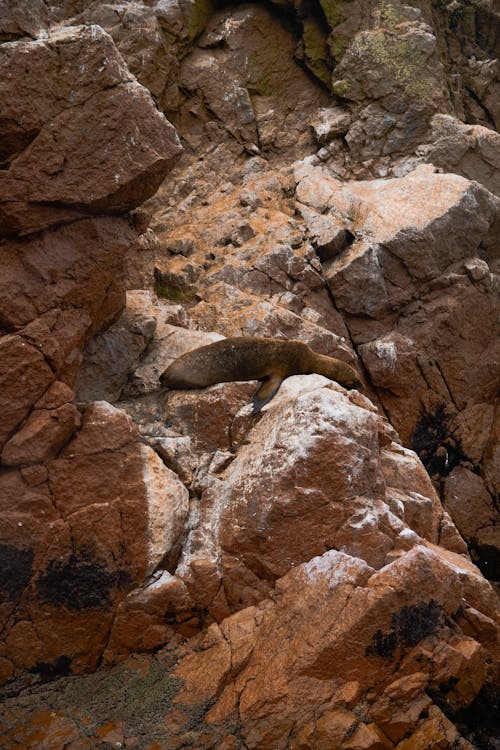 A Brown Natural Rock Formation