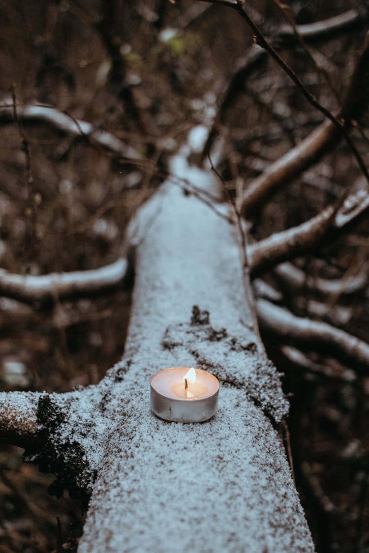 Burning White Candle On Tree Trunk