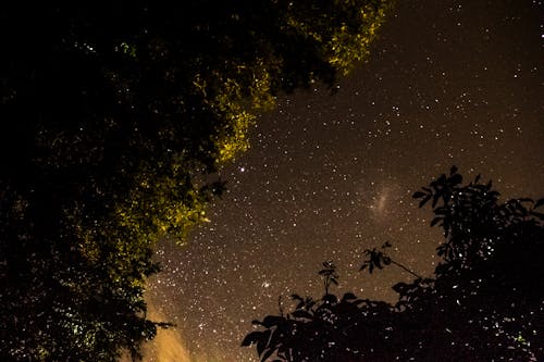 Základová fotografie zdarma na téma dlouhá expozice, galaxie, hvězdy