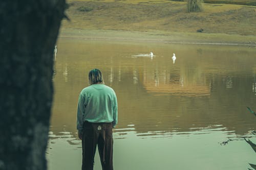 Free Back View of a Man Standing Near a Lake Stock Photo