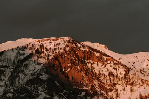 Foto profissional grátis de @exterior, ártico, branco