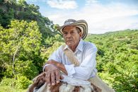 Man in White Dress Shirt and Brown Hat Sitting on Green Grass Field