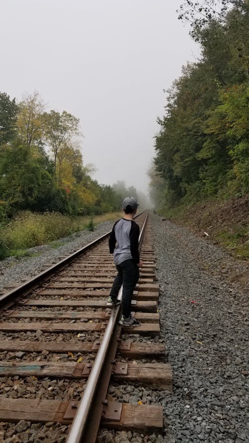Kostnadsfri bild av dimma, järnväg, järnvägsspår