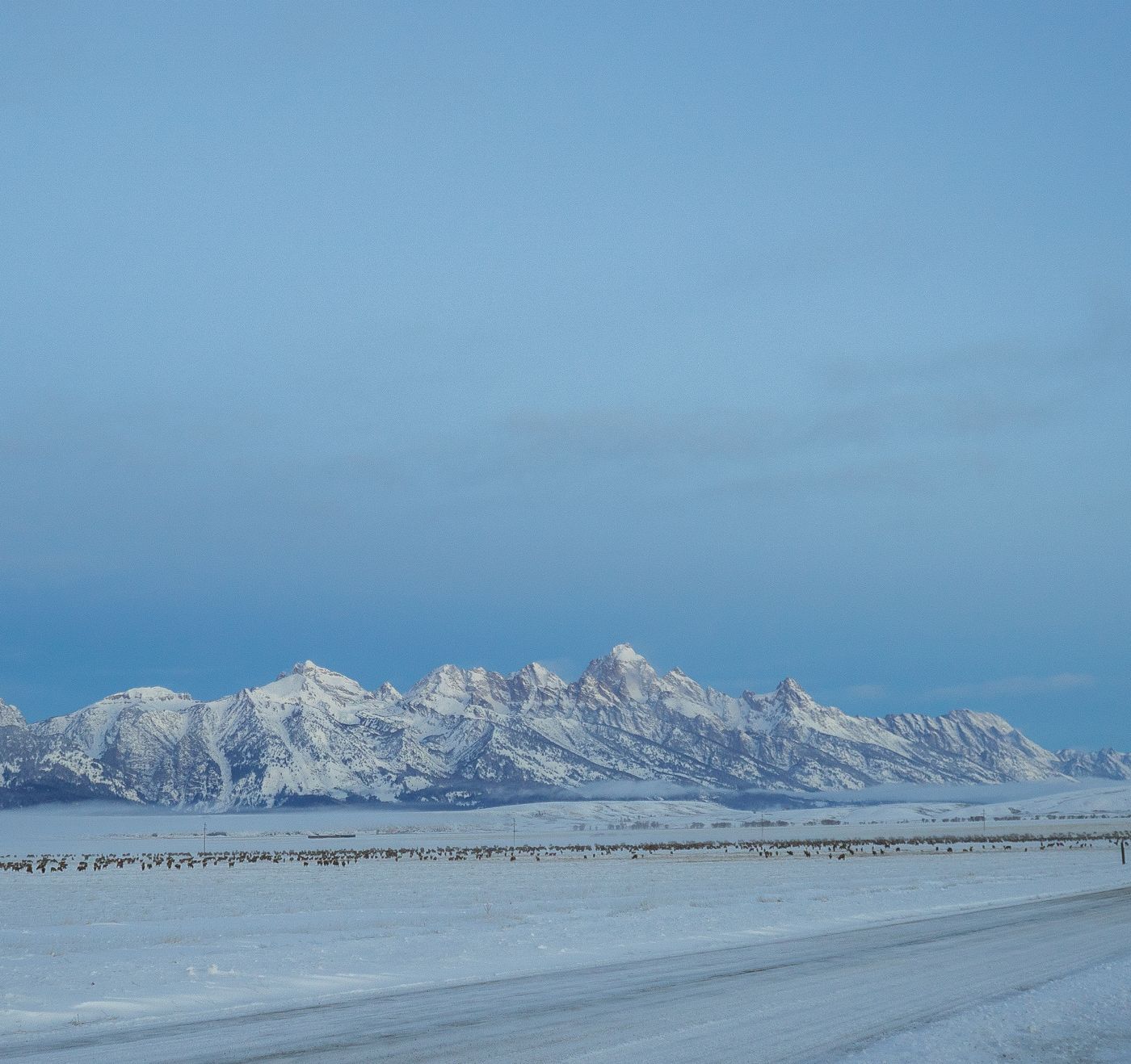 The snow-covered Grand Teton range under a blue sky in winter, Wyoming