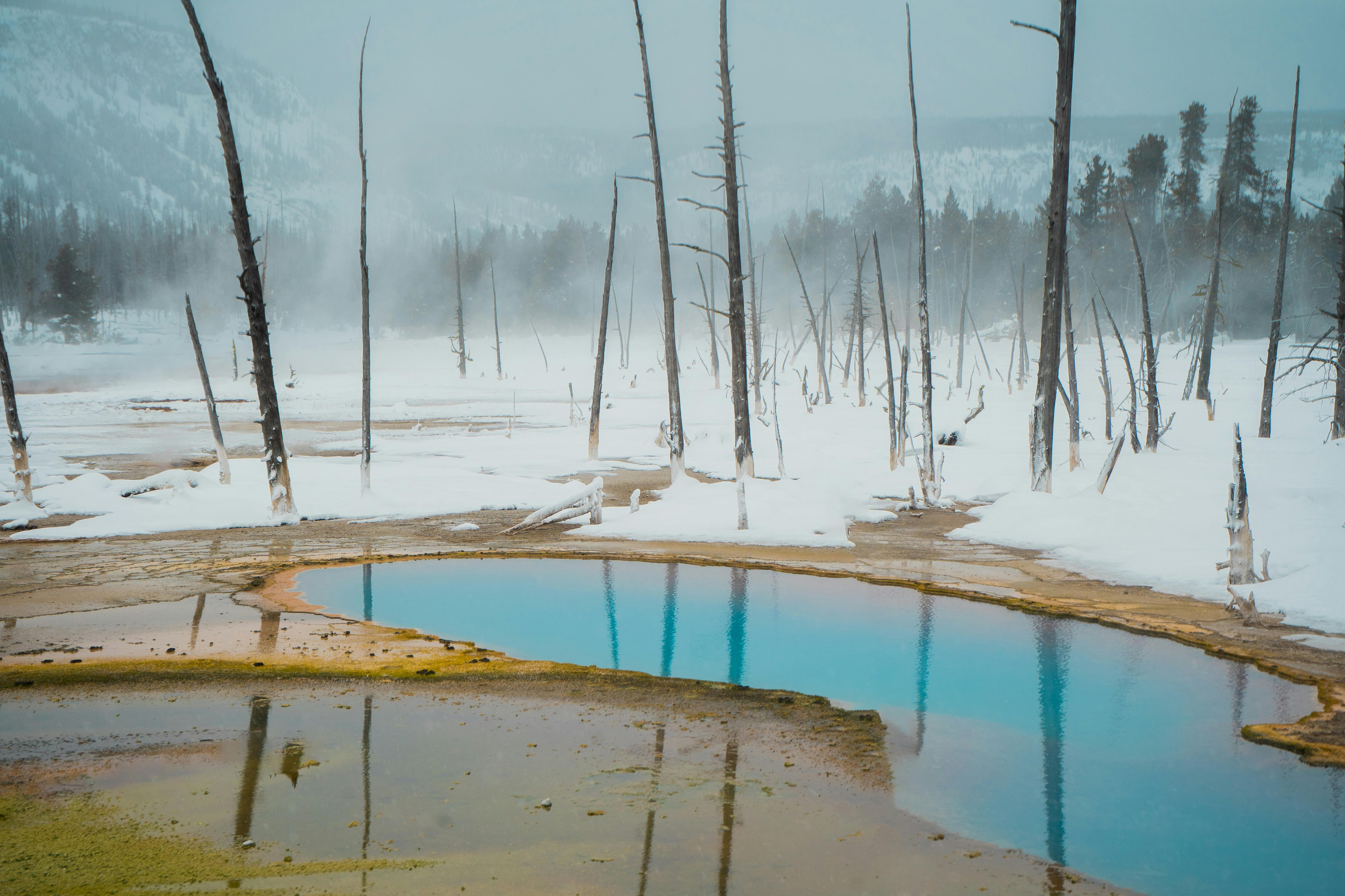 Airport transfers in Yellowstone National Park