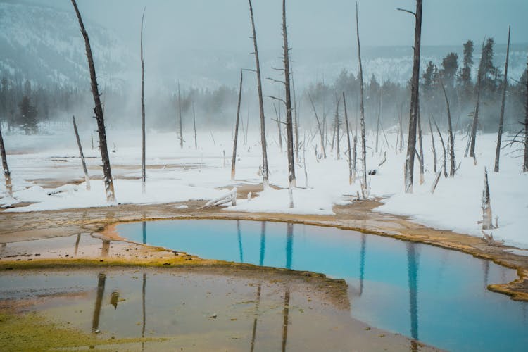 Geyser At Yellowstone National Park During Winter Season