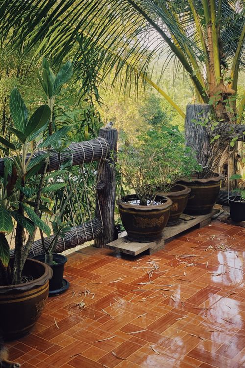 Free A tranquil outdoor patio with potted plants and wooden fencing, perfect for relaxation. Stock Photo