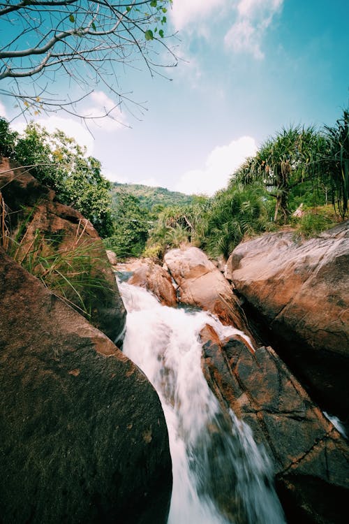 Foto d'estoc gratuïta de arbres verds, cel blau, en cascada