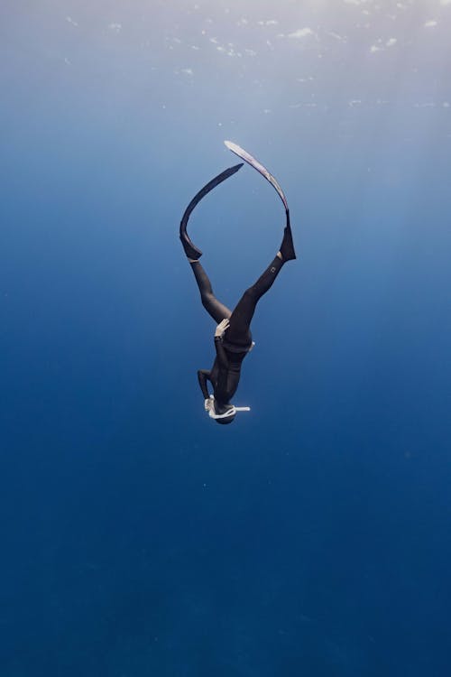 Fotos de stock gratuitas de al revés, aletas de buceo, bajo el agua