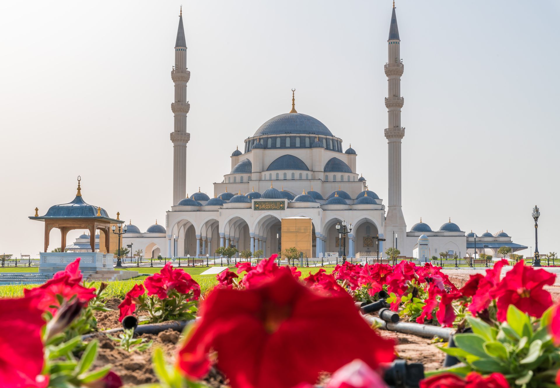 Capturing the elegance of Sharjah Mosque surrounded by vibrant red flowers during daylight.