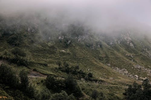 Green Grass Covered Mountain during Foggy Day