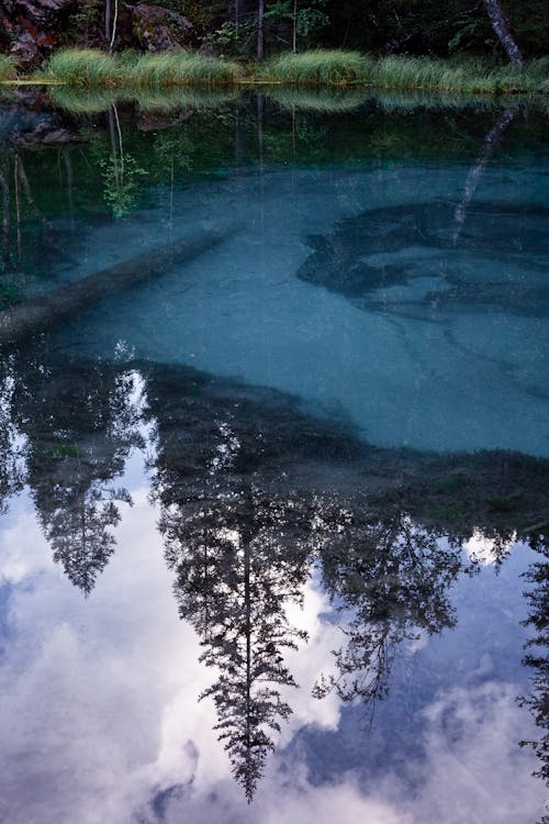 Ilmainen kuvapankkikuva tunnisteilla heijastus, järvi, kirkas vesi