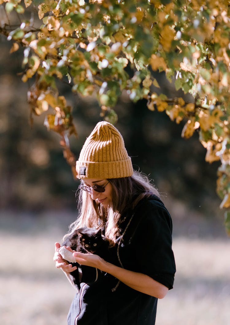 Woman In Sunglasses Holding Cat In Her Arms