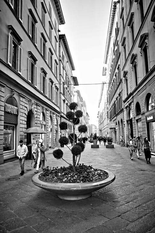 A Grayscale Photo of People Walking on the Street