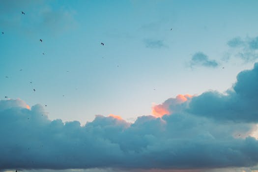 Serene sky scene with birds flying above cumulus clouds during sunset, capturing peace and freedom.