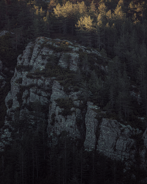 Free Moody forest scene in Vila Real District, highlighting rocky formations and pine trees. Stock Photo