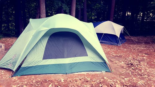 Kostnadsfri bild av camping, skog, utomhus