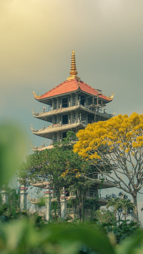 Free stock photo of bright sun, buddhist temple, yellow