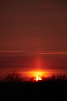 Image by Евгения  Карпова