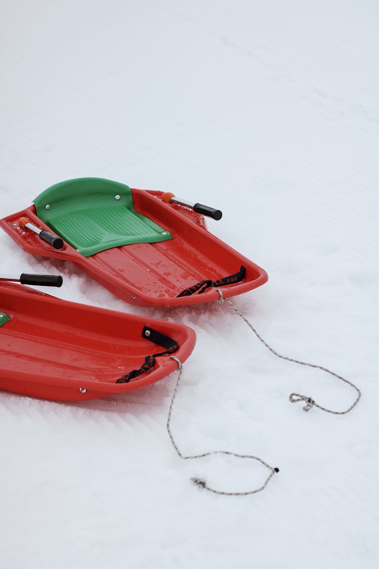 Empty Sleighs On Snow 