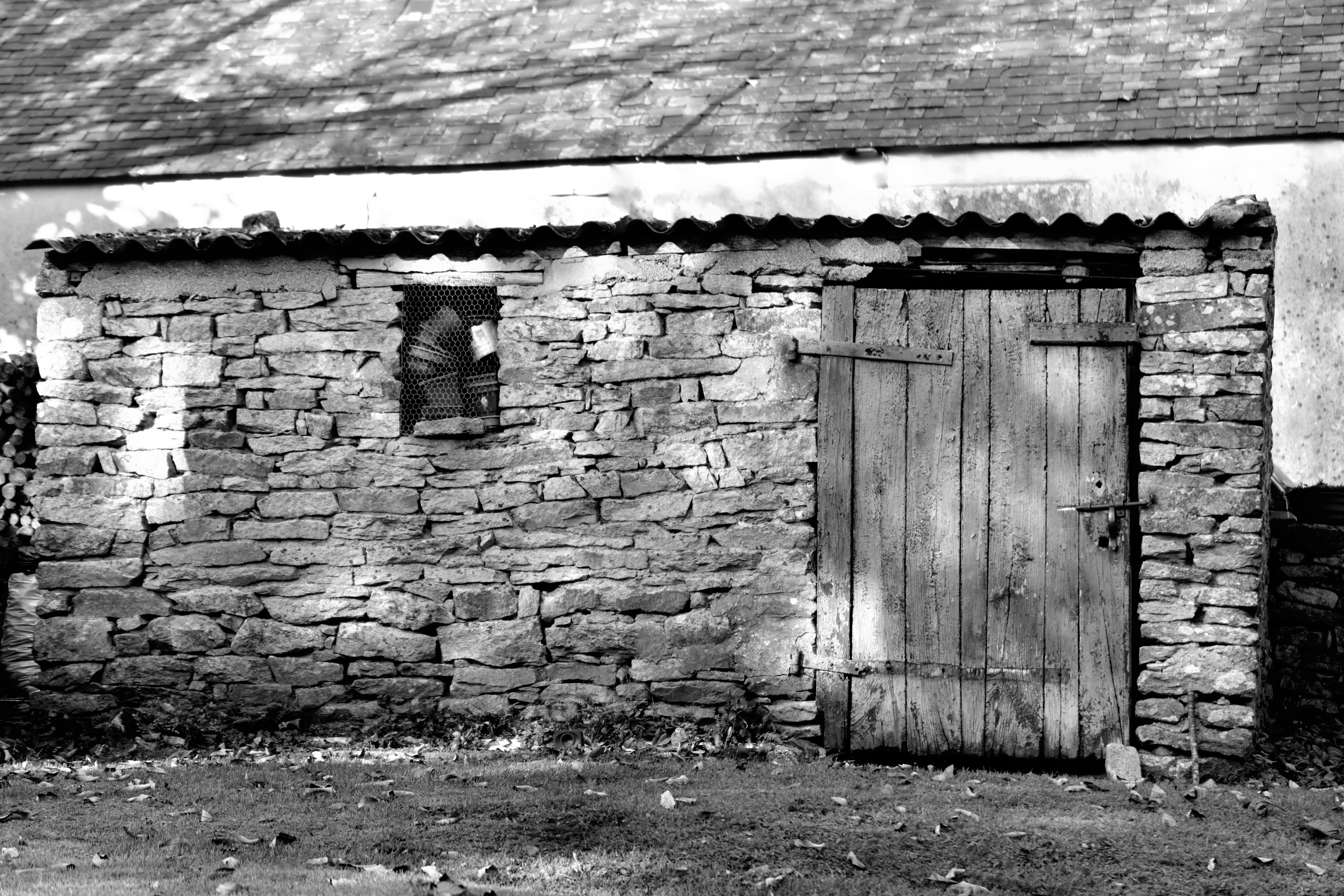 Kostenloses Foto zum Thema architektur, mur, mur de pierres