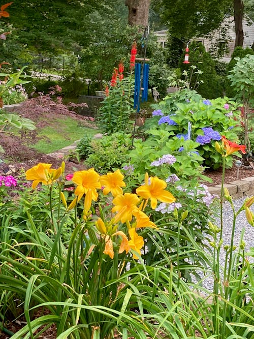 Free Garden with Windchine Stock Photo
