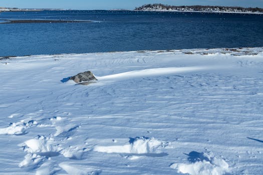 Serene winter scene of a snow-covered shoreline meeting a calm frozen sea under a clear blue sky.