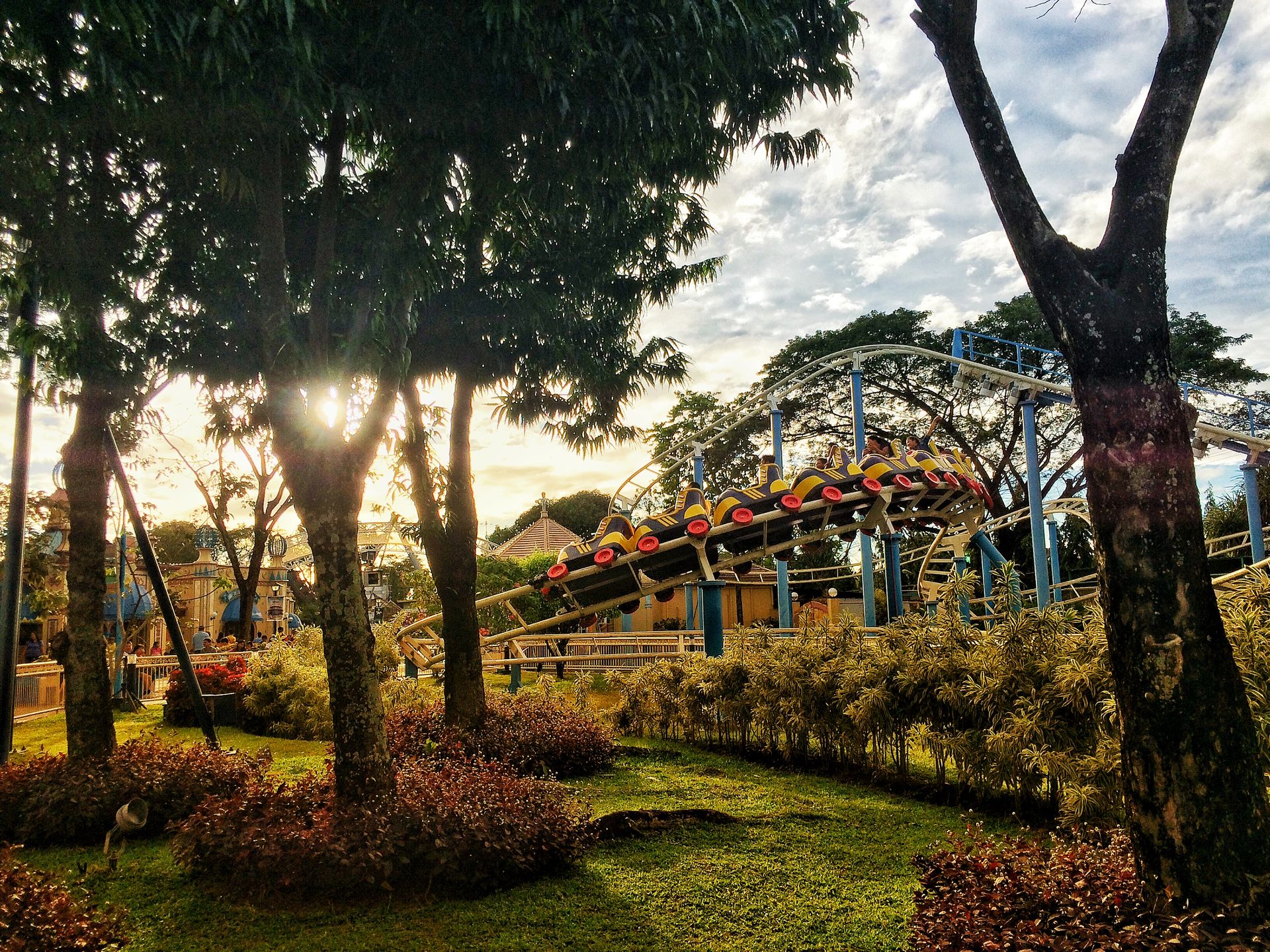 Vibrant amusement park scene with roller coaster among lush trees and grass in daylight.