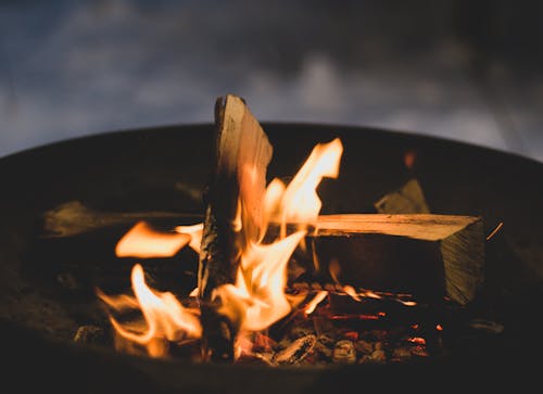 Free Close-up of Campfire Stock Photo