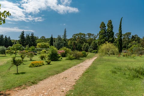 Free stock photo of adriatic, arboretum, beautiful flowers by Sun Pixel Photography