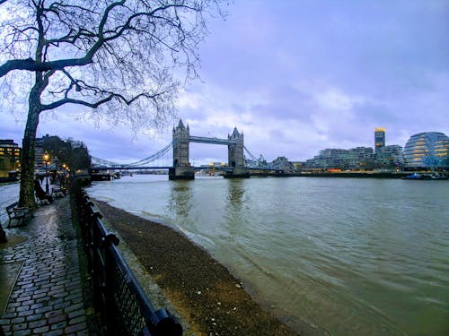 Gratis lagerfoto af London, themsen, Tower Bridge