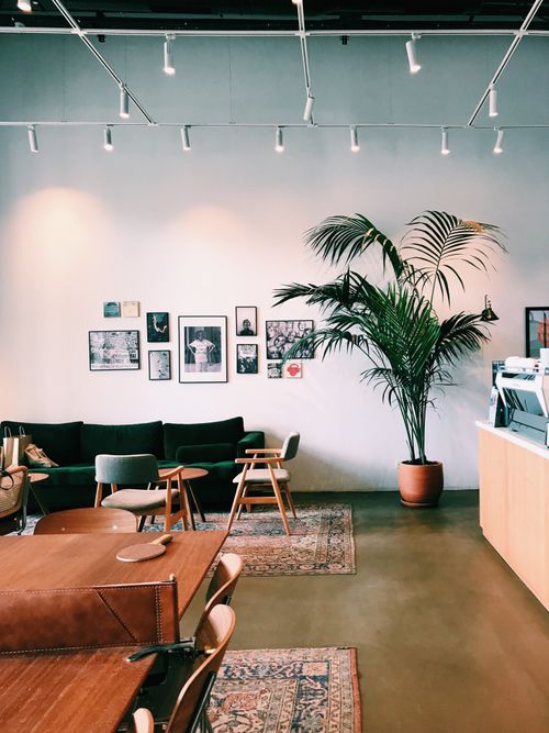 Free Modern cafe interior in İstanbul featuring chic furniture and wall art, creating a cozy atmosphere. Stock Photo